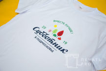 Печать логотипа 